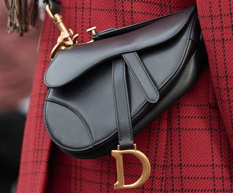 dior saddle bag street style|christian dior kidney bag.